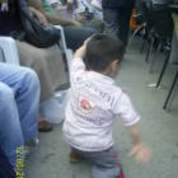 Ahmet Tamer