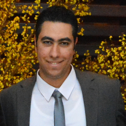 Mohamed AbuElFadl