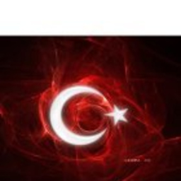 Veli ATLI