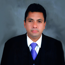 Arturo Palomino Arenas