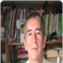 Profesor de Ges.Tec Diaz