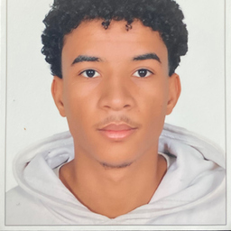 Walid Noubis