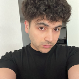 Kamal Elsalamouny