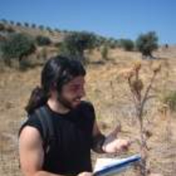 Alessandro Orsini