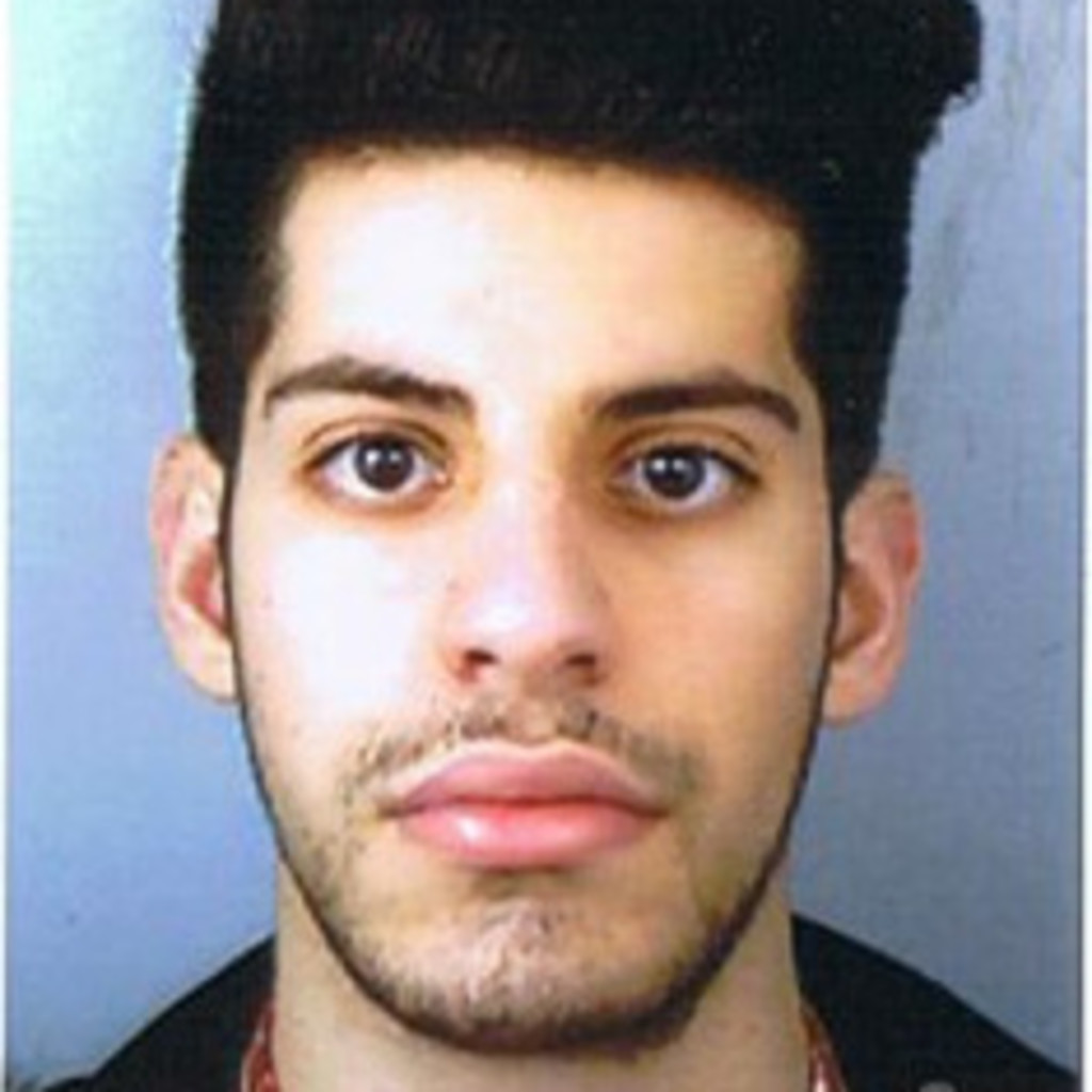 David Raso - Application Developer C# - Kurzfristig Verfügbar | XING