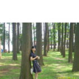 Weiny Zhang