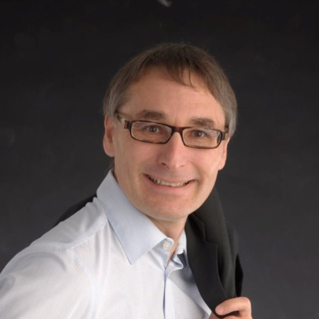 Martin Haller SAPProjektleitungen / Beratung Projektit GmbH XING