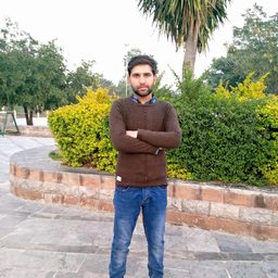 Zeeshan Rafique