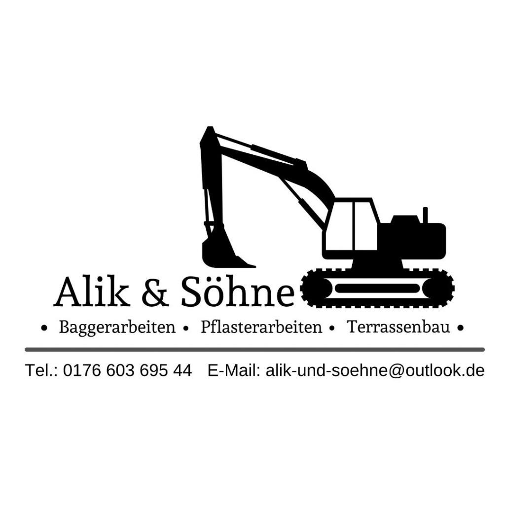 Muhamed Alik Ausbildung und Berufserfahrung XING