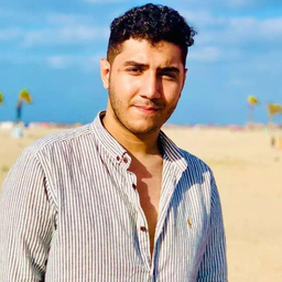 Hamdy Elbltagy