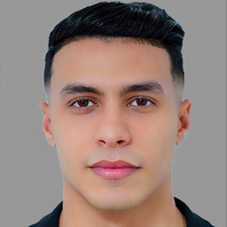 Houssam Elfarjani