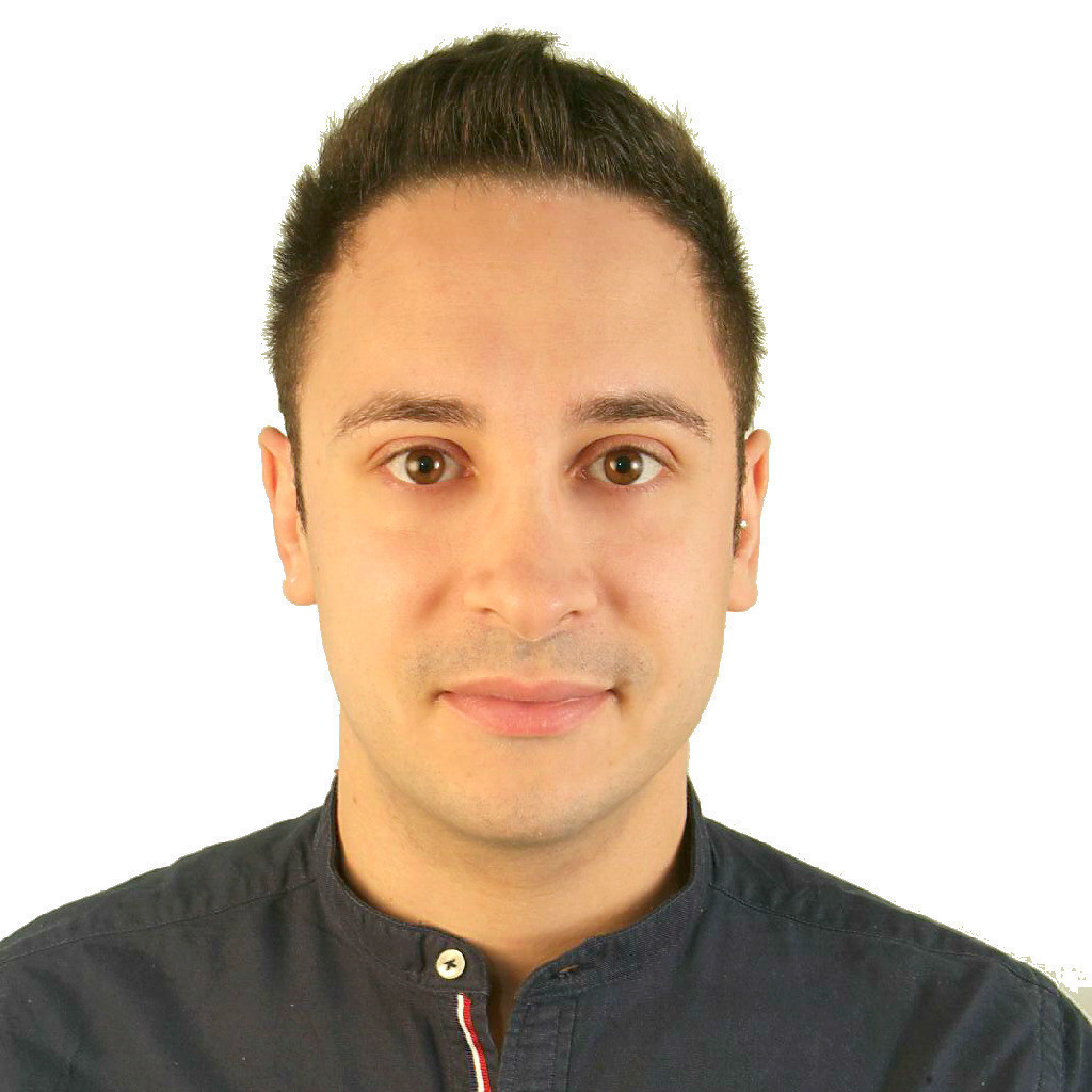 Dr. Nicola Contessi Negrini Ausbildung und Berufserfahrung XING