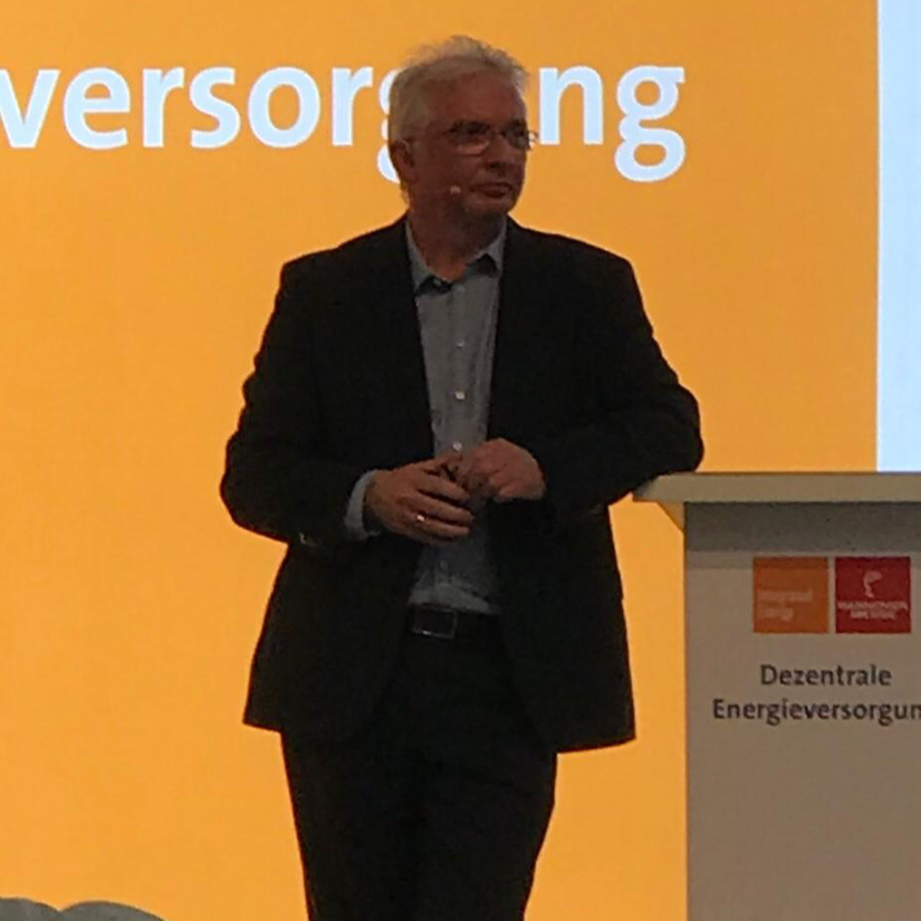 Jürgen Maass Projektmanager Westbridge Advisory GmbH XING