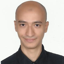 Ing. Omar Hesham