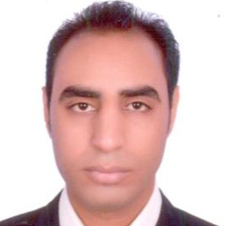 Mohamed Abouelnaga