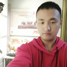 sheng feng