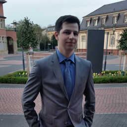 Dominik Hein
