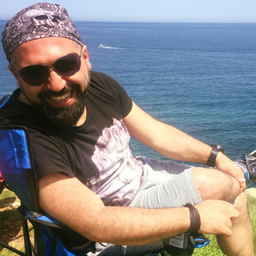 Serdar Vayni