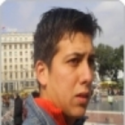 SERGIO PALACIOS PAVEZ