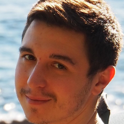 Raphael BRIEULLE