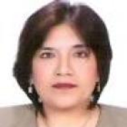 GLADYS ROSSANA MUJICA RAMIREZ