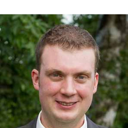 David Grüne's profile picture