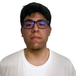Diego Mendoza