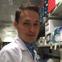 Dr. Luis Coronel