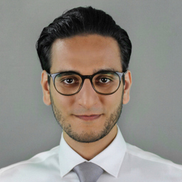 Prof. Dr. Armin Zitouni
