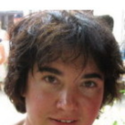 Kata Vizi