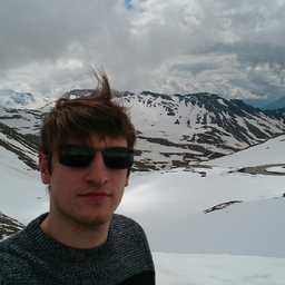 Dominik Motzet
