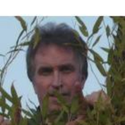 Heiko Ommert