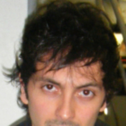 Daniele Canini