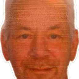 Frank Heinrich
