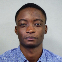 Opeyemi Ojo
