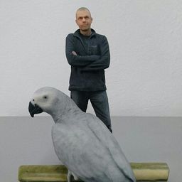 Norwin Stern's profile picture