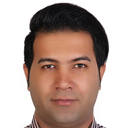Ing. Seyed Ramin Saadat