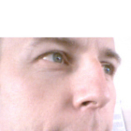 Denis Pansu