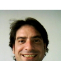 Francisco Javier Collantes Sánchez