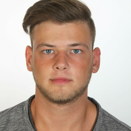 Dominik Scheibel