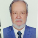 Ing. Mahmoud Shalaby