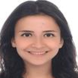 Ahsen Özfidan