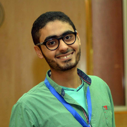 Ing. Mahmoud Mohammed