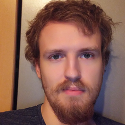 Dominik Dammer