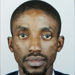 Osas Ohenhen