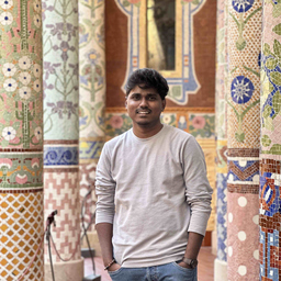 Naveenraj Palanisamy