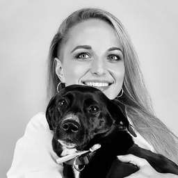 Stefanie Heinecke's profile picture