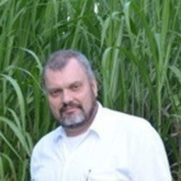 Holger Lerner