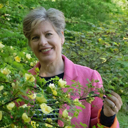 Elke Siebert