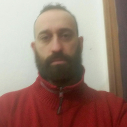 daniele manfrin